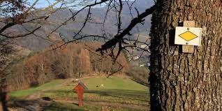 aussichtsreich vom glottertal zum streckereck und zuruck durch das einsame fohrental aussicht ausflug wanderung