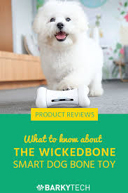 Here Is Why The New Interactive Smart Dog Bone Toy Called Wiskedbone Is Much More Interesting Than Typical Interactive Do Smart Dog Dog Bone Toy Smart Dog Toys
