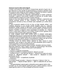 Dex '09, mda2, dex '98, dlrlc, dn, mdn '00, nodex, șăineanu, ed. Doc Sindromul Bucal In Bolile Tubului Digestiv Dragos Munteanu Academia Edu