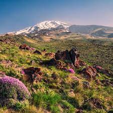 Welcome to the website of the vfs visa application centre for the netherlands in iran. Iran Reisen Von Teheran Bis Persepolis A E Erlebnisreisen