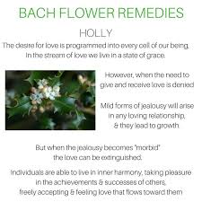 Pin By Laille Stephanie On Bach Flower Bach Flower Remedies Flower Essences Remedies Flower Remedy
