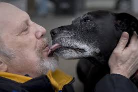 Portland dog who helped save her owner up for national award