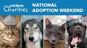 This 501c3 rescue accepts donations that are tax deductibie as weii. Petsmart National Adoption Weekend North Central Florida Fl May 18 2019 11 00 Pm