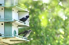 ○ report pests, water leaks. Integrated Pest Management San Antonio Water System