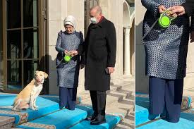 Check spelling or type a new query. Photoshop Fazla Kacinca Emine Erdogan In Ayaklari Uctu Kronos News Bagimsiz Haber Sitesi