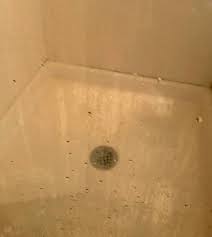 After applying it to your shower door or bathroom mirror, rub it in with a circular motion using gentle pressure. Scrubbed Scrubbed Can T Get Soap Scum Off Glass Shower Door Tried Lime Away Clr Bartenders Friend Dryer Sheets Live In A Hard Water Area Cleaningtips