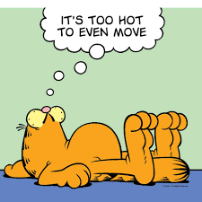 Pin On I Hate The Sun