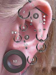 Piercing Arten Ohrpiercing Als Helix Tragus Industrial Tragus Piercing Piercing Ideen