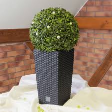 Check spelling or type a new query. Cc 2 X Large Rattan Tall Planter Square Plastic Garden Indoor Outdoor Flower Plant Pot By Stolmet 26 6l Black Buy Online In Bahamas At Bahamas Desertcart Com Productid 84620763