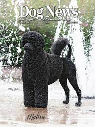 Ratings, based on 1 reviews. Dog News September 12 2014 By Dog News Issuu