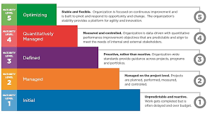 Software Capability Maturity Model Google Search Capability Maturity Model Integration Risk Management Business Management