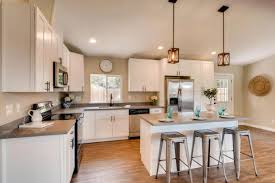 kitchen & bathroom remodeling, painting
