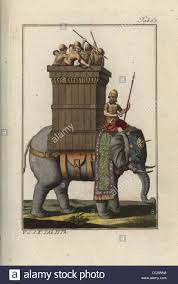 Résultat de recherche d'images pour "war elephant"