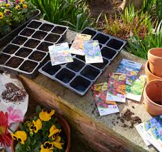 We did not find results for: Mesh And Netting Plant Care Garden Lawn Care Treatment Wilko Com