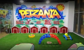 Now you can book the dog & cat grooming service at home in bengaluru. Choice Of Pet Grooming Package Petzania Groupon