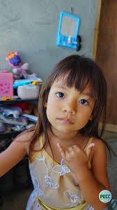 𝐏𝐄𝐂𝐂 𝒱𝒾𝓈𝓊𝒶𝓁𝓈