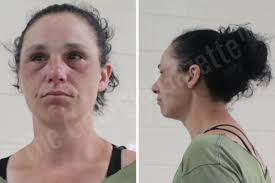 Heather Woodring — Houston County Jail Bookings