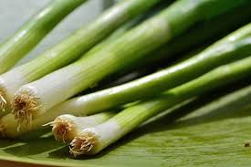 Cara membuat tanaman mint tumbuh rimbun dengan stek air. Cara Menanam Daun Bawang Dengan Mudah Pakai Sisa Bahan Di Dapur Bisa Hipwee Line Today