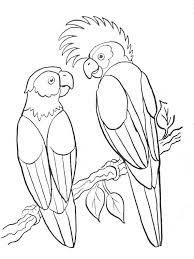 coloriages animaux exotiques coloriage a imprimer perroquet lego imprimable