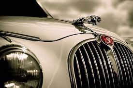 Vintage Jaguar Car Poster Jaguar Car Top Luxury Cars Jaguar