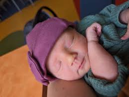 Wilson Orchid Society