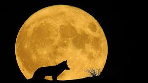 26 мая 2021 года в 14:15 по мск. Kogda Budet Polnolunie V Iyune 2021 Goda Chto Mozhno I Nelzya Delat 21 06 2021 Sputnik Litva