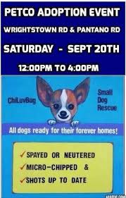 Be 18 years old and have a valid photo id. Chiluvbug Rescue Chiluvbug Twitter