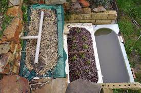 Most of the grey water collected from the laundry and kitchen has less debris. Greywater Is A Fabulous Though Often Underused Household Resource That Should Be Used Wherever P Grey Water System Diy Grey Water Recycling Grey Water System