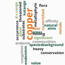 Image result for Chlorophytum burundiense