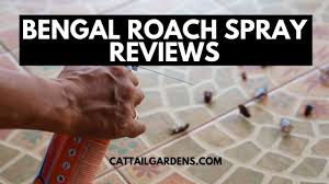 The lowest cost way to do this is to buy a kit with all of the products you need. Bengal Roach Spray Reviews How To Use Bengal Roach Spray Youtube