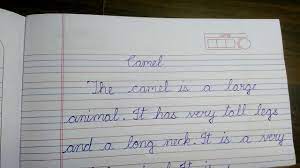 The ship armor class is removed from the camel, and they receive a new armor class, against which they also while it is not known if the mongols and chinese used camels for combat, they certainly the camel line, with the camel on the left. Few Lines About Camel For 1 Std Or 2 Std Kids Youtube