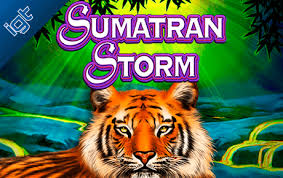 Gamers who play wild life igt slots online with no download no registration can get a big win with the help of online tricks and strategies on acquiring free spins and bonuses. Sumatran Storm Slot Machine á—Ž Play Free Casino Game Online By Igt