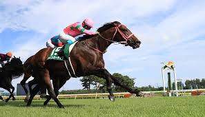 Maybe you would like to learn more about one of these? Https Xn O9j0bk9l4k169rk1cxv4aci7a739c Com Xo Event E3 82 A2 E3 82 A4 E3 83 93 E3 82 B9 E3 82 B5 E3 83 9e E3 83 Bc E3 83 80 E3 83 83 E3 82 B7 E3 83 A5 Ef Bc 86 E3 82 Af E3 82 A4 E3 83 Bc E3 83 B3 E3 82 B9 E3 83 86 E3 83 Bc E3 82 Af E3 82 B9