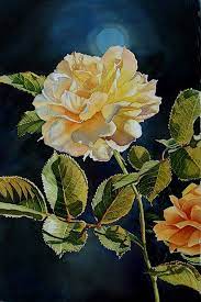 Jane Freeman Winter White Rose 534x800 Art Floral Watercolor Rose Painting