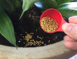 30/3/2014 if you want to know lượt xem 1,9 n9 năm trước. The Osmocote Advantage Planters Place