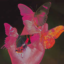 Check spelling or type a new query. Aesthetic Butterflies Shared By Jenni On We Heart It