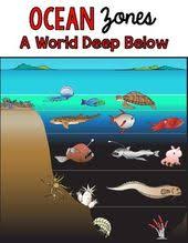 Ocean Zones A World Deep Below