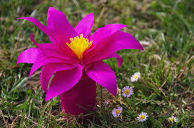 Maybe you would like to learn more about one of these? Confezione Regalo A Forma Di Fiore Per La Festa Della Mamma Unadonna