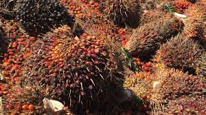 According to the latest quarterly bulletin from bank negara malaysia, malaysia' foods imports forming about 24% of our total food supply. Malaysia Relies On Sustainable Palm Oil To Keep Entry Into European Market Euractiv Com