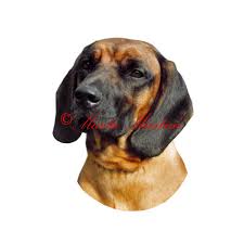 Image result for bavorský barvář