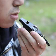 Ozark Trail 4-Function Plastic Whistle Black with Thermometer Compass  Magnifier