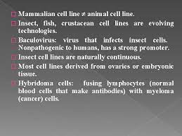 In addition, continuous cell lines may undergo certain changes (phenotypic and genotypic changes) which would result in discrepancies during analysis. Introduction To Animal Cell Culture Introduction Cell Culture