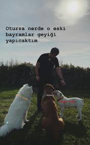 Sefirin Kizi Adli Kullanicinin Cok Guzel Hareketler Bunlar 2 Panosundaki Pin 2020 Kresler Oxford