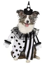 Pet Halloween Costumes For 2020 Halloweencostumes Co Uk
