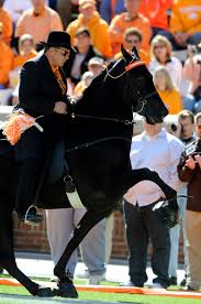 I wish i could torture tennessee walking horse trainer, jackie mcconnell or just put him out of his misery and shoot him. Tennessee S Walking Horse Tradition Should Get Back On Track