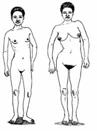 Cuando El Cuerpo De Una Nina Empieza A Cambiar Pubertad Hesperian Health Guides