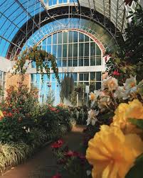 The Stunning Auckland Domain Winter Gardens A Perfect Place To Escape The Cold Visitauckland Jenh Winter Garden Auckland New Zealand Adventure
