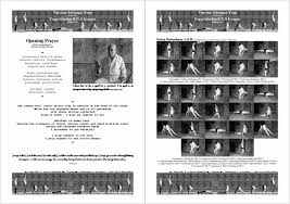 Image result for Primary Series