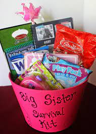 Big Sister Survival Kit Big Sister Kit Big Sister Gifts Sister Survival Kit