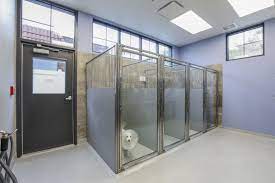 Animal Hospital Design Hospital Design Hospital Interior Design Veterinary Clinic